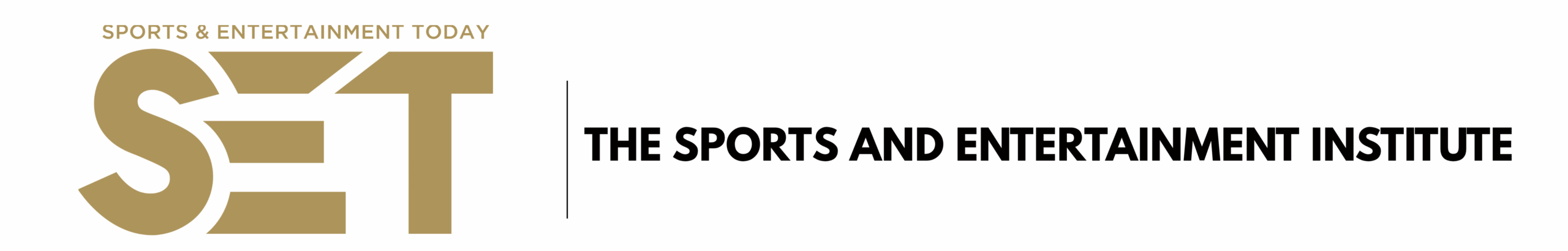 The Sports And Entertainment Institute