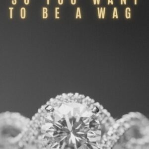 So Want to be a WAG - Ebook